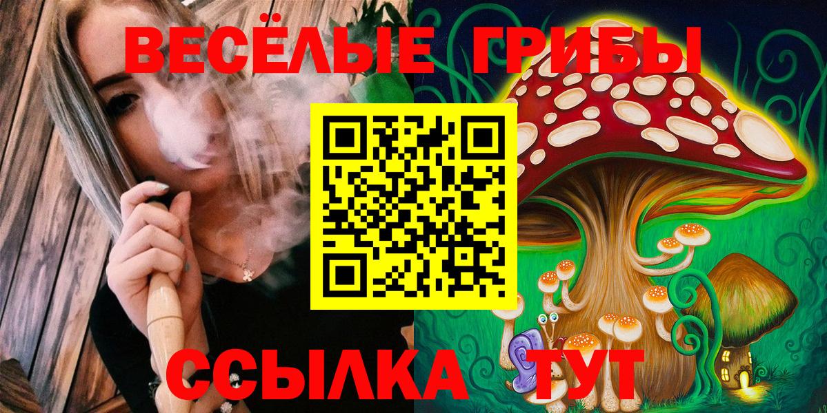 Галлюциногенные грибы мицелий Коряжма