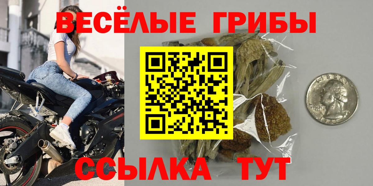 Псилоцибиновые грибы мицелий  Галлюциногенные грибы Cubensis  Коряжма  Вход с VPN 